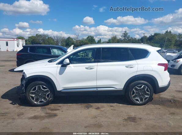 5NMS4DAL8PH531650 2023 HYUNDAI SANTA FE White 