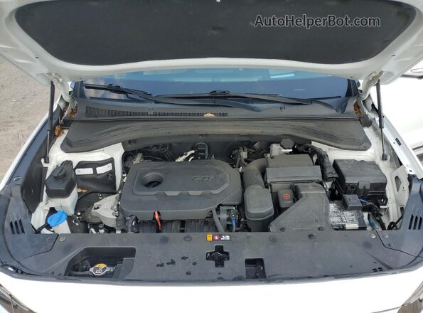 5NMS53AD1LH224167 2020 HYUNDAI SANTA White Շարժիչի բաժամունքի տեսք