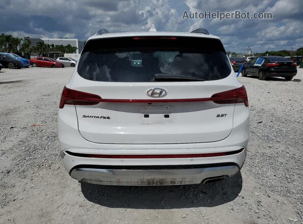 5NMS54AL7PH539381 2023 HYUNDAI SANTA FE CALLIGRAPHY White 