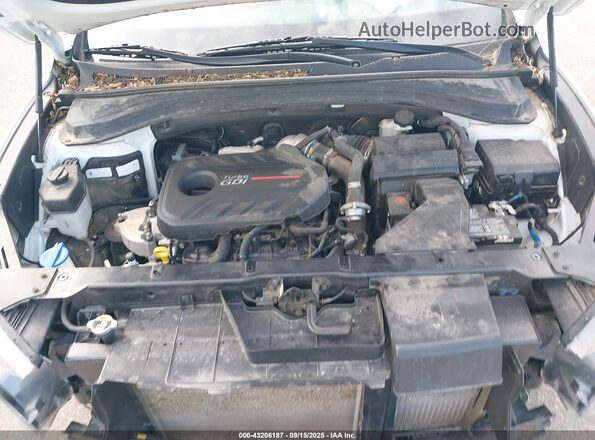 5NMS5CAA0LH223033 2020 HYUNDAI SANTA FE White Widok z tyłu