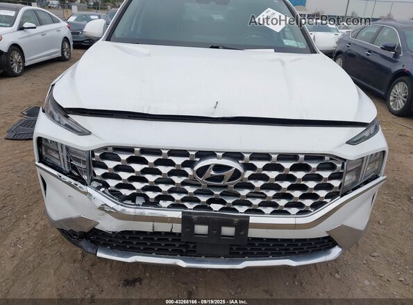 5NMS6DAJ1MH326367 2021 HYUNDAI SANTA FE Белый Вид задней части салона