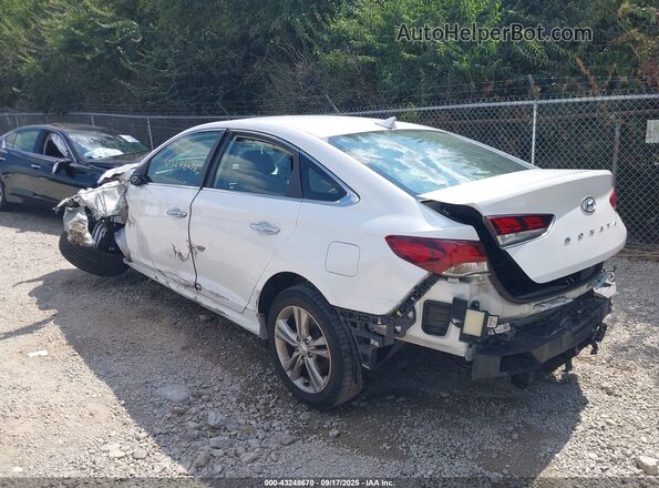 5NPE34AF8KH771366 2019 HYUNDAI SONATA Белый Задняя левая четверть