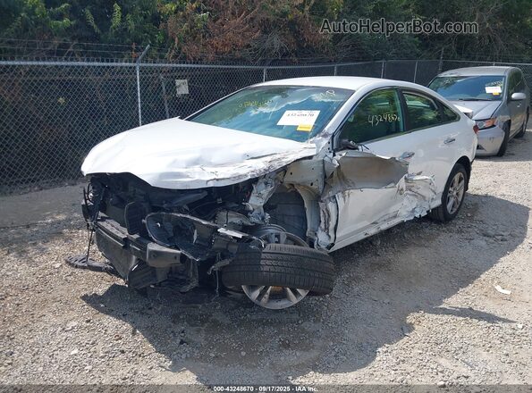 5NPE34AF8KH771366 2019 HYUNDAI SONATA Белый Передняя левая четверть