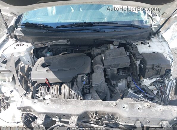 5NPE34AF8KH771366 2019 HYUNDAI SONATA Белый Вид сзади