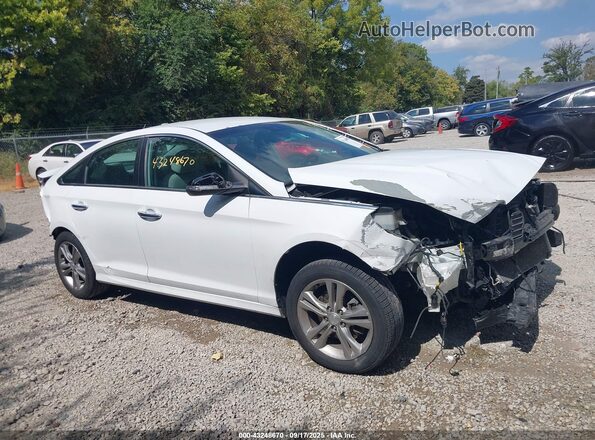 5NPE34AF8KH771366 2019 HYUNDAI SONATA Белый Вид задней части салона