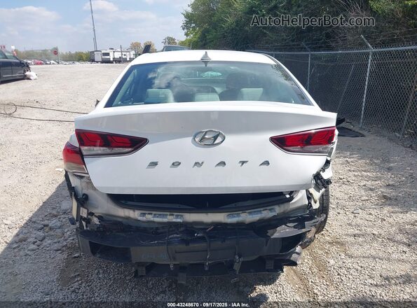 5NPE34AF8KH771366 2019 HYUNDAI SONATA Белый 