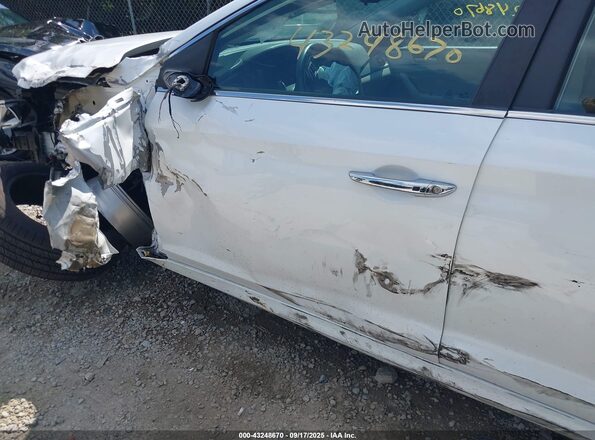 5NPE34AF8KH771366 2019 HYUNDAI SONATA Белый 