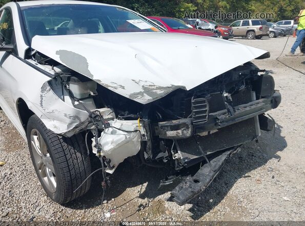 5NPE34AF8KH771366 2019 HYUNDAI SONATA Белый 