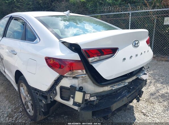 5NPE34AF8KH771366 2019 HYUNDAI SONATA Белый 