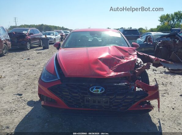 5NPEF4JA4LH002912 2020 HYUNDAI SONATA Red Սալոնի հետևի տեսք