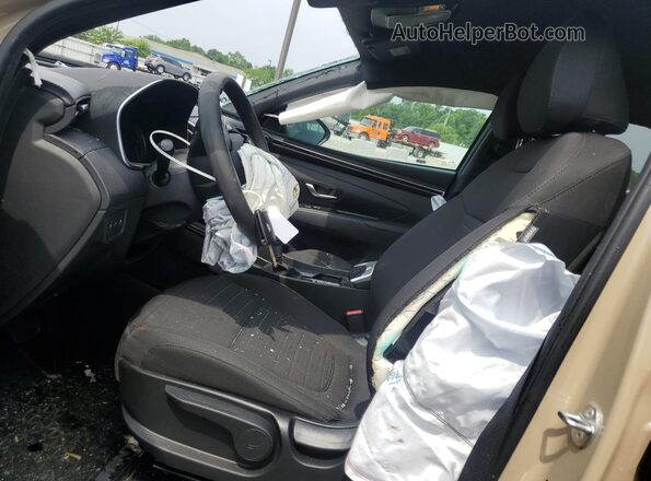 5NTJADAE4RH097045 2024 HYUNDAI SANTA Beige 