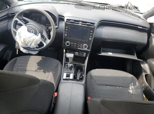 5NTJADAE4RH097045 2024 HYUNDAI SANTA Beige 