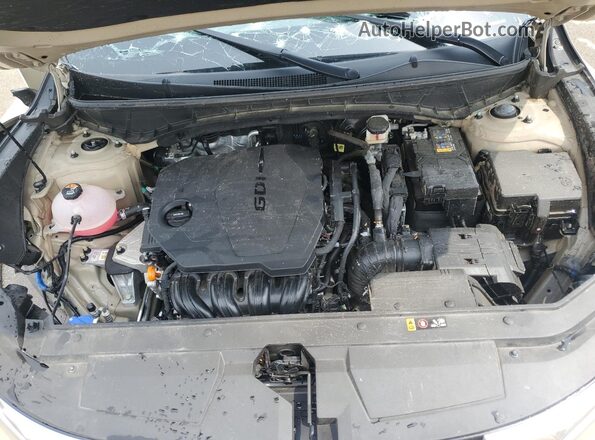 5NTJADAE4RH097045 2024 HYUNDAI SANTA Beige 