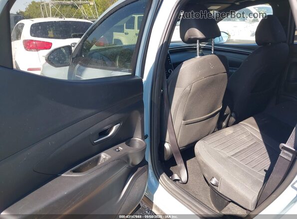 5NTJCDAE7PH060417 2023 HYUNDAI SANTA CRUZ Light Blue Vista de la etiqueta del VIN