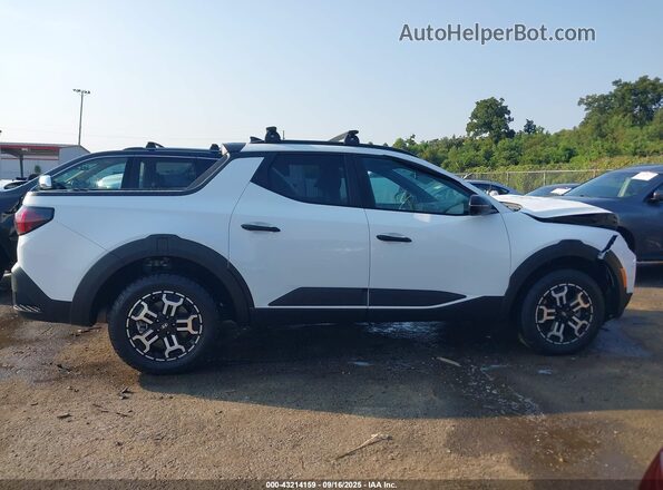 5NTJDDDF6SH131200 2025 HYUNDAI SANTA CRUZ White Սալոնի հետևի տեսք