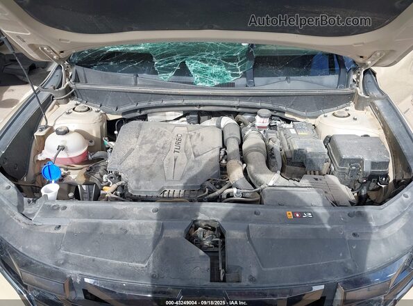 5NTJEDAF1PH045897 2023 HYUNDAI SANTA CRUZ Tan Widok z tyłu