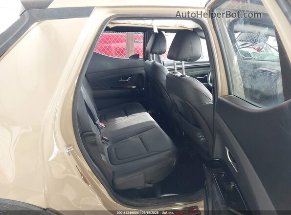 5NTJEDAF1PH045897 2023 HYUNDAI SANTA CRUZ Tan Widok naklejki z numerem VIN