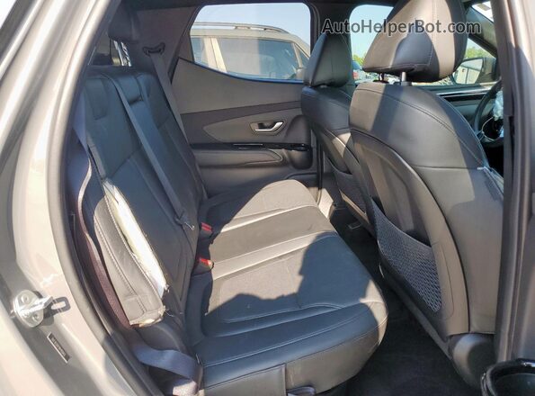 5NTJEDDF1RH120452 2024 HYUNDAI SANTA Gray 