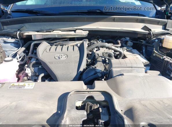 5TDAAAB59SS072430 2025 TOYOTA LIMITED Blue Vista trasera