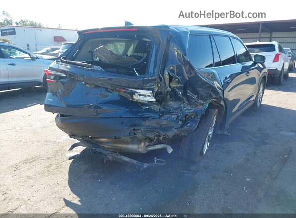 5TDAAAB59SS072430 2025 TOYOTA LIMITED Blue Vista frontal