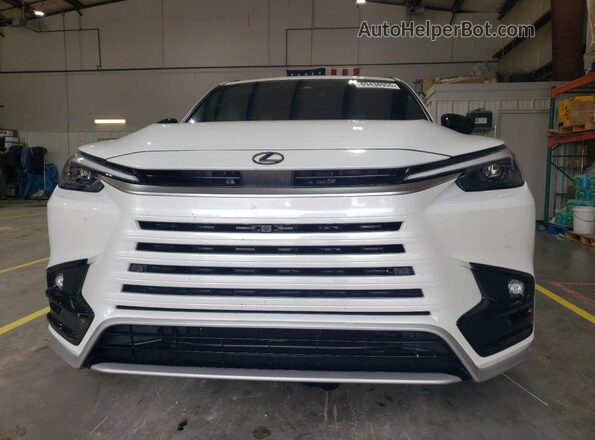 5TDAAAB62SS031727 2025 LEXUS TX White Vista frontal