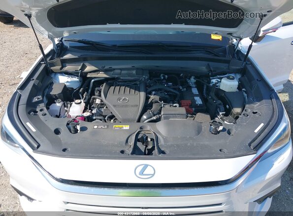 5TDAAAB63SS024396 2025 LEXUS TX 350 White Вид ззаду