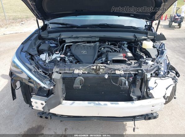 5TDAAAB64SS030157 2025 LEXUS TX 350 Blue Rear view