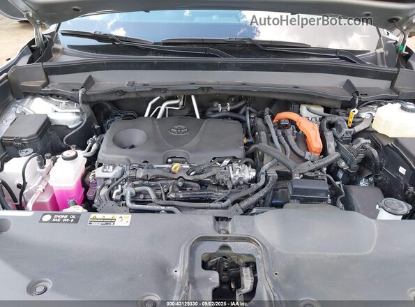 5TDACAB57RS028365 2024 TOYOTA LIMITED Gray 