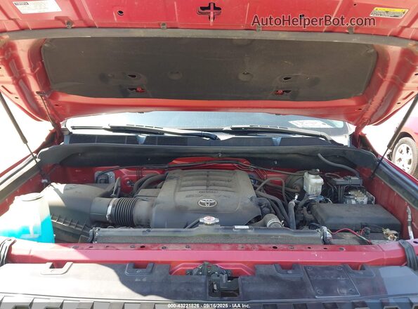 5TFAY5F18MX980102 2021 TOYOTA TUNDRA Красный Вид сзади