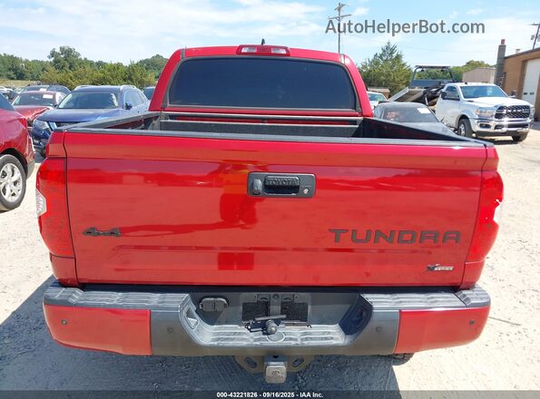 5TFAY5F18MX980102 2021 TOYOTA TUNDRA Красный 