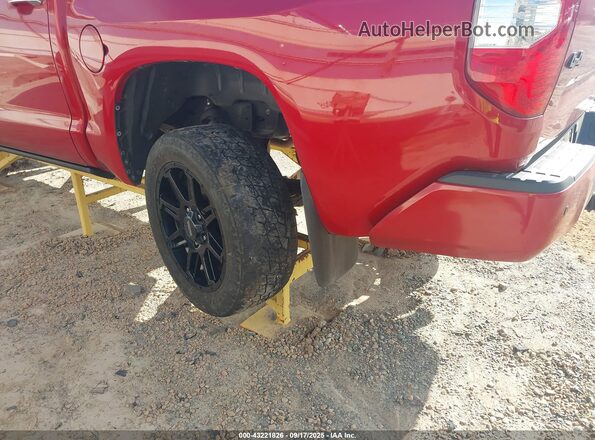 5TFAY5F18MX980102 2021 TOYOTA TUNDRA Красный 