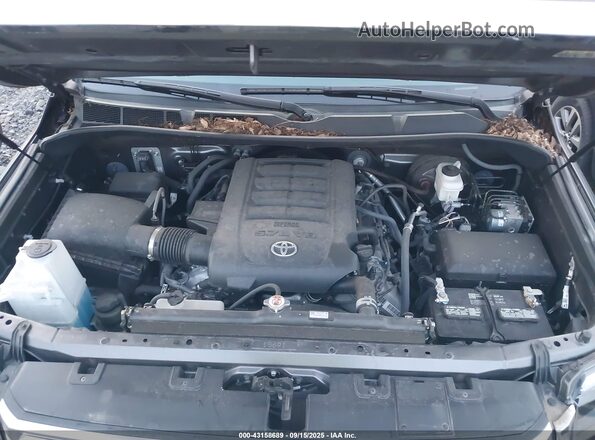 5TFBY5F14MX045776 2021 TOYOTA LIMITED Gray უკანა ხედი
