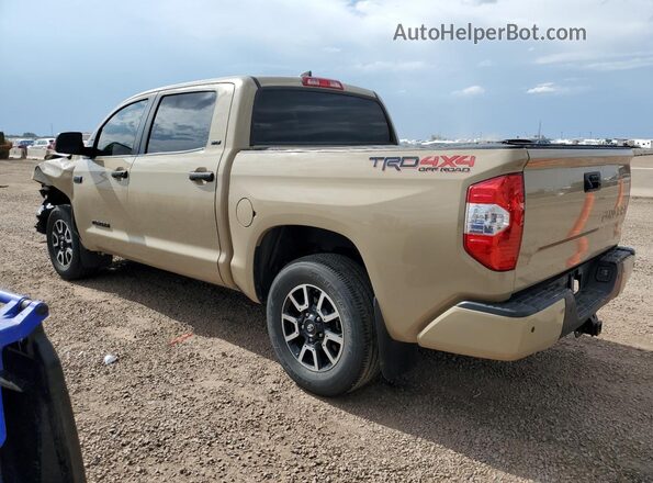 5TFDY5F19LX918705 2020 TOYOTA TUNDRA Желто-коричневый Задняя левая четверть