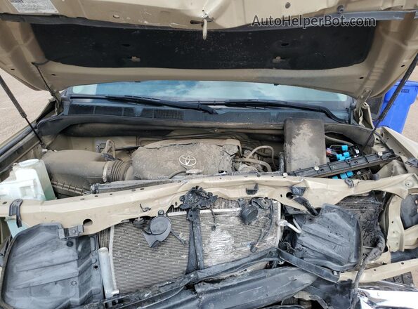 5TFDY5F19LX918705 2020 TOYOTA TUNDRA Желто-коричневый Вид задней части салона