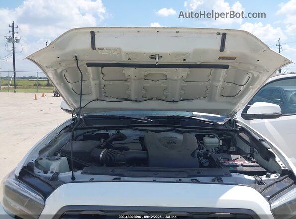 5TFDZ5BN8MX062434 2021 TOYOTA TACOMA White Rear view