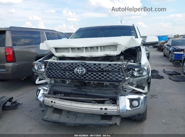 5TFEY5F13MX284054 2021 TOYOTA TUNDRA White 