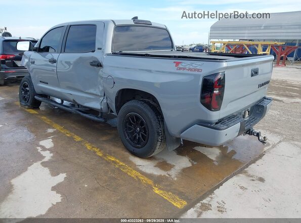 5TFEY5F16MX289877 2021 TOYOTA TUNDRA Серый Задняя левая четверть