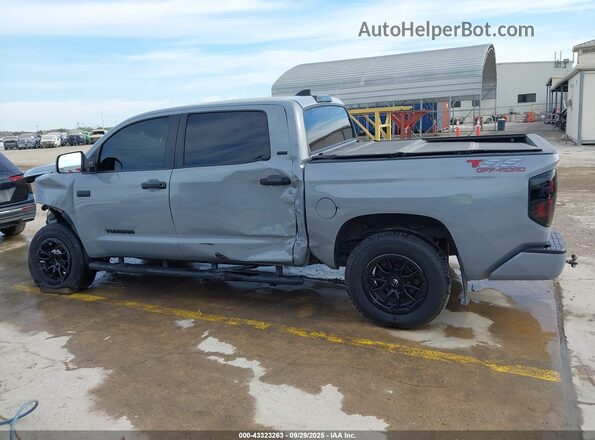 5TFEY5F16MX289877 2021 TOYOTA TUNDRA Серый Панорамный вид салона 360°