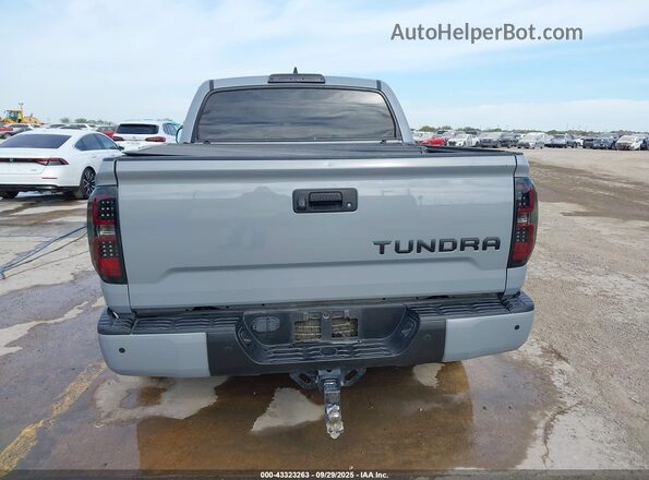 5TFEY5F16MX289877 2021 TOYOTA TUNDRA Серый 