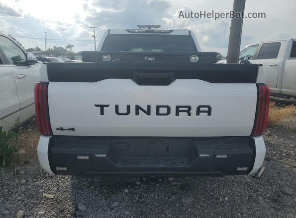 5TFKB5DB3SX309631 2025 TOYOTA TUNDRA White Հետևի տեսք