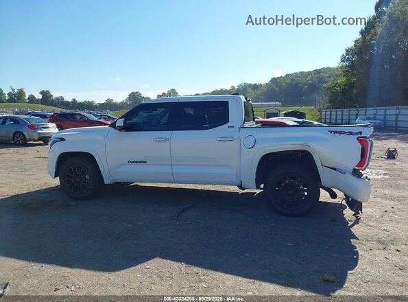 5TFLA5DB2PX066005 2023 TOYOTA TUNDRA White Սալոնի 360 աստիճան տեսք