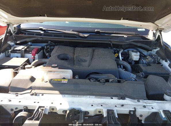 5TFLA5DB2PX066005 2023 TOYOTA TUNDRA White Հետևի տեսք