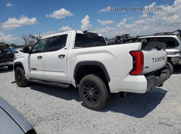 5TFLA5DB6RX167941 2024 TOYOTA TUNDRA Белый 