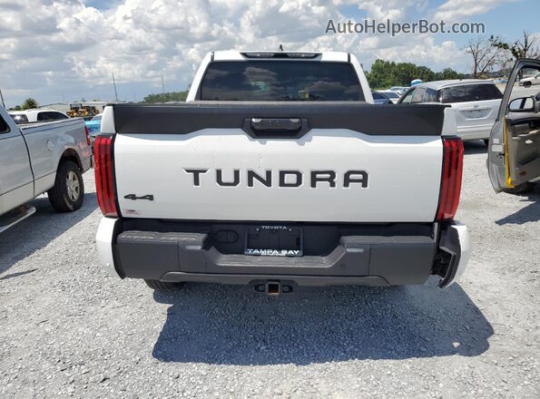 5TFLA5DB6RX167941 2024 TOYOTA TUNDRA Белый 