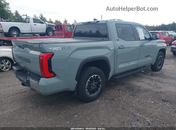 5TFLA5DB9SX285357 2025 TOYOTA TUNDRA Зеленый Задняя правая четверть