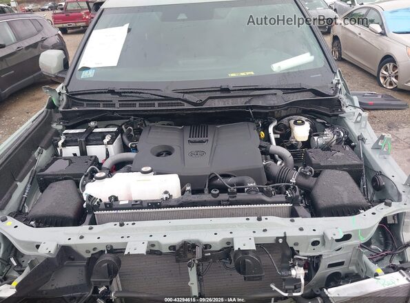 5TFLA5DB9SX285357 2025 TOYOTA TUNDRA Зеленый Вид сзади