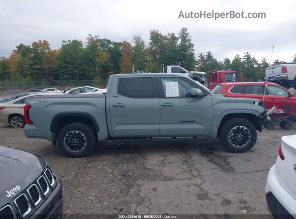 5TFLA5DB9SX285357 2025 TOYOTA TUNDRA Зеленый Панорамный вид салона 360°
