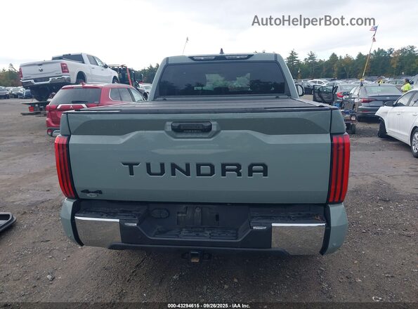 5TFLA5DB9SX285357 2025 TOYOTA TUNDRA Зеленый 