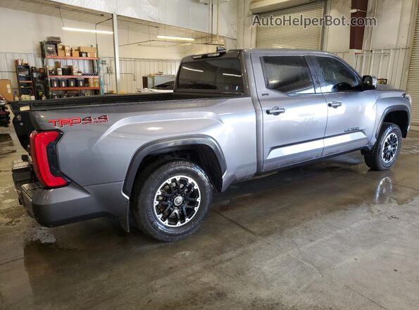 5TFLA5ECXPX016282 2023 TOYOTA TUNDRA Gray Задня права чверть