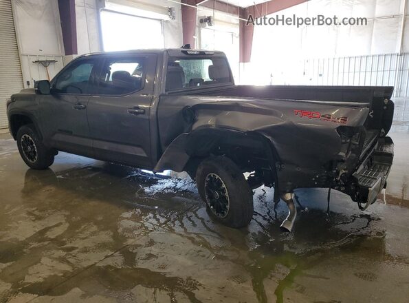 5TFLA5ECXPX016282 2023 TOYOTA TUNDRA Gray Задня ліва чверть